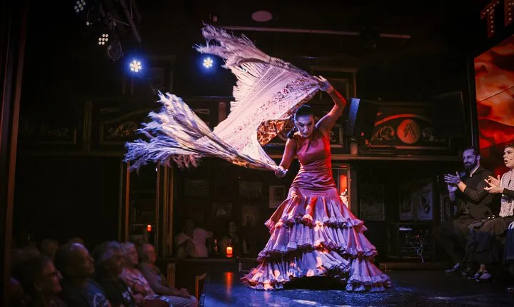 Authentic Flamenco Show at the Málaga Club Flamenco Theatre