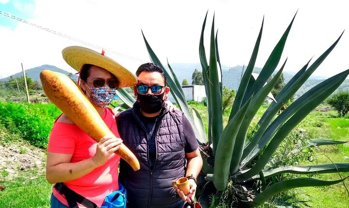 Tour de Pulque en Tepotzotlán, Pueblo Mágico