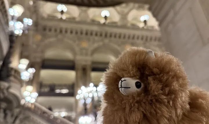 Exclusive Opera Garnier Private Guided Tour