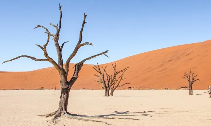 3 Days Amazing Red Dunes of Sossusvlei | Private Guided Tour