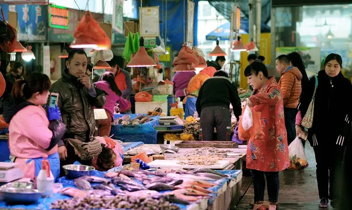 4-Hour Private Shanghai Old and New Market Tour