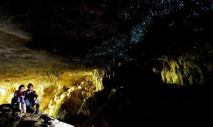 Waitomo Glow Worm Caves Private Tour from Auckland