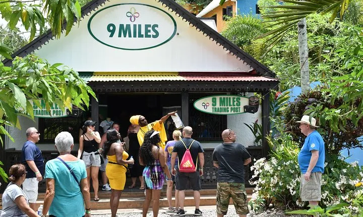 Day Trip to Bob Marley's Nine Mile and Dunn's River Falls from Falmouth