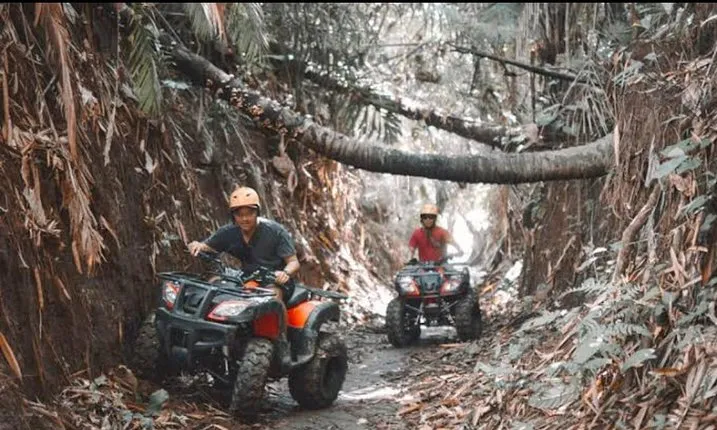 Wild Jungle Expedition: Jungle Hopper & Quad ATV Adventure