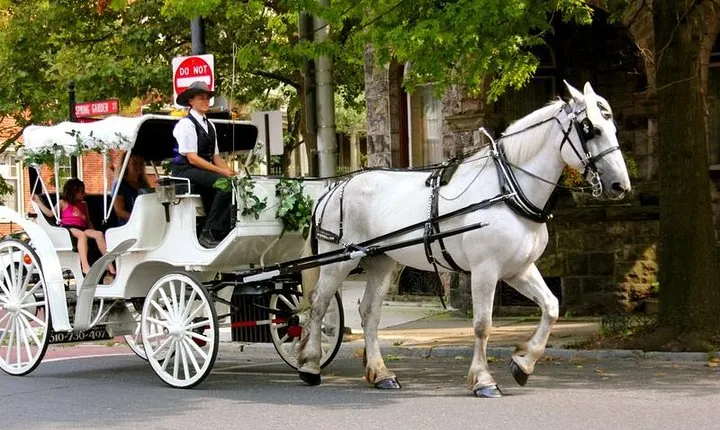 Carriage Ride in Central Park (VIP - PRIVATE) Since 1964™