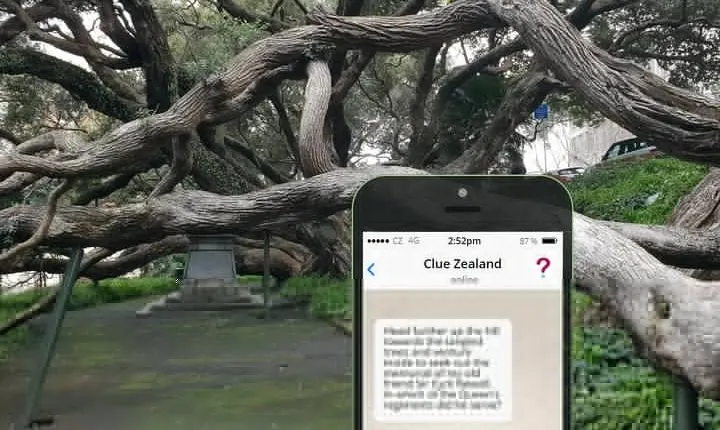 The Hunt for the Missing Monarch - An Auckland Adventure