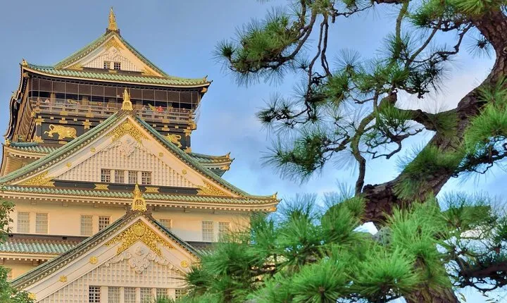 Osaka Castle Admission Ticket