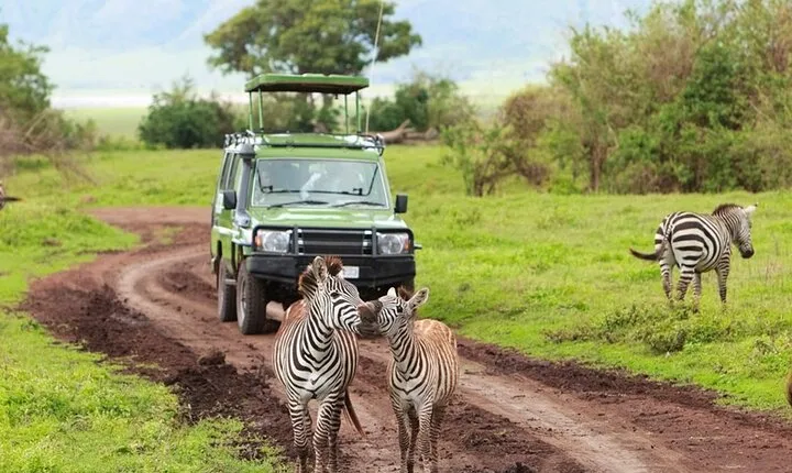 4-Day Northern Tanzania Camping Tour Safari
