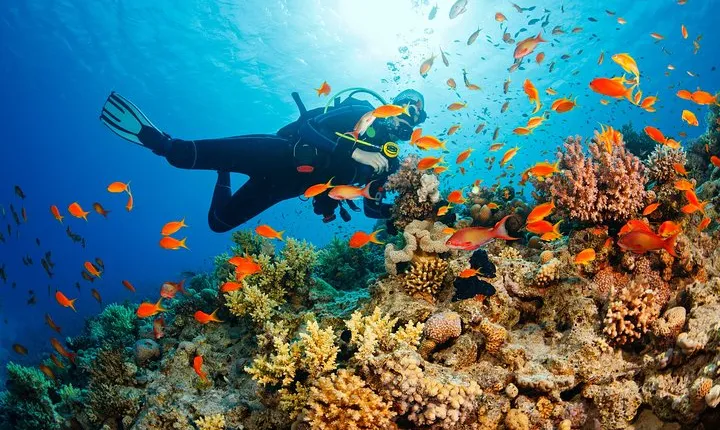 Marmaris Scuba Diving in crystal clear waters
