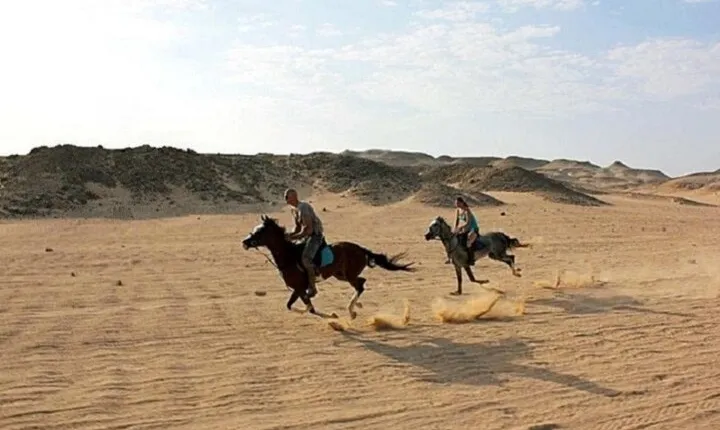 Adventure Horse Ride, Egyptian Night Show&Dinner- Sharm El Sheikh