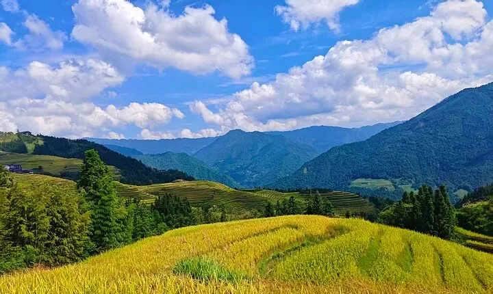 Longji Rice Terraces with Minority Village Private Day Trip