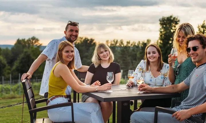 5-Hour Traverse City Wine Tour: 3 Wineries on Leelanau Peninsula