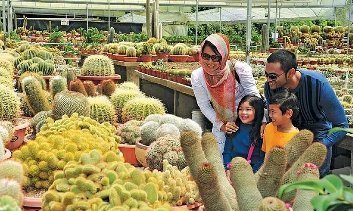 Private Nature Trip to Cameron Highlands from Kuala Lumpur