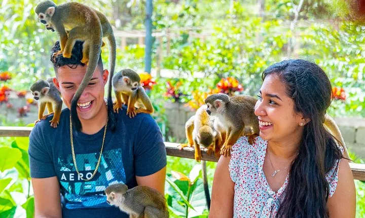 Monkeyland Puerto Plata