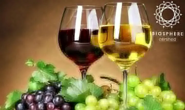 Skywalk, Madeira Wines Tasting and Vineyards 4x4 Experience
