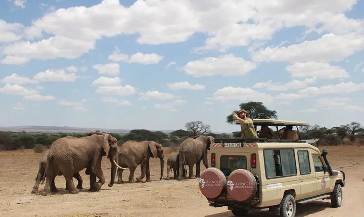 4 Days Tarangire Serengeti Ngorongoro Crater