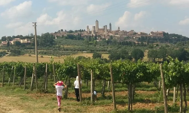San Gimignano Monteriggioni Tuscany Chianti Wine Tasting Fullday from Florence