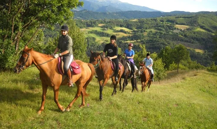 Private Horseback Riding Tour in Sicilian Countryside + Tradional lunch