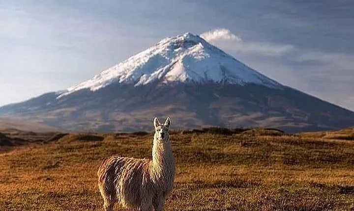 Ecuador Adventure Volcanoes Rucupichincha Cayambe and Chimborazo
