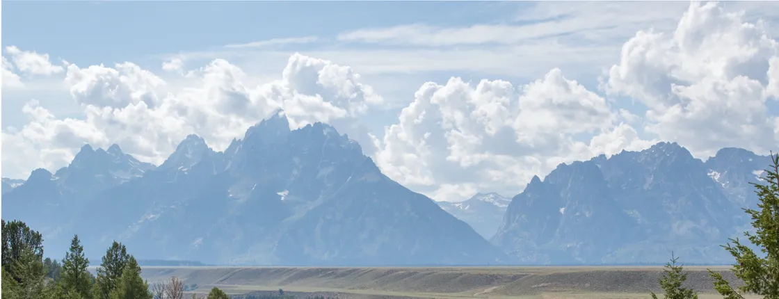 Winter and spring wildlife sunset safari from Jackson Hole