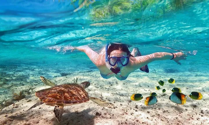 V.I.P Snorkeling & Fishing Tour ( Speed Boat ) Minimum 02 people