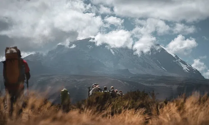 Hiking the foothills of Kilimanjaro