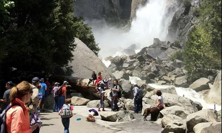Small Group Yosemite and Giant Sequoias Day Trip from San Francisco