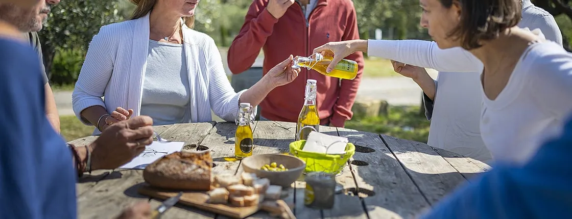 Languedoc wine and olive oil tour for small groups