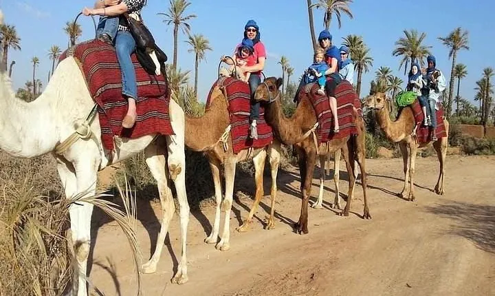 1 Hour CAMELS RIDE palmeraie (casa road ) min 2 pers-Private