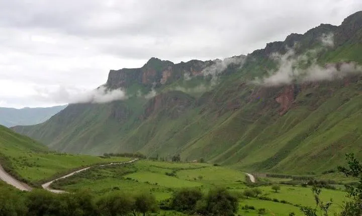 Full-day Cachi and Los Cardones National Park from Salta