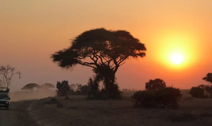 Arusha National Park Safari by Jeep