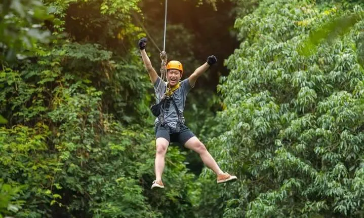 Bransons Best Zipline - Great Woodsman Canopy Tour