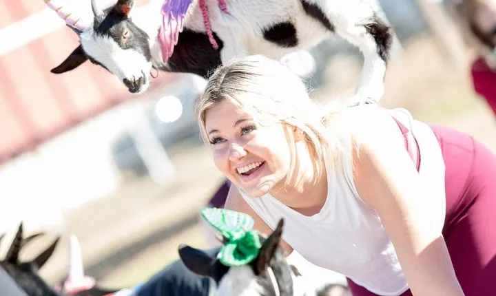 Goat and Alpaca Yoga in Arizona