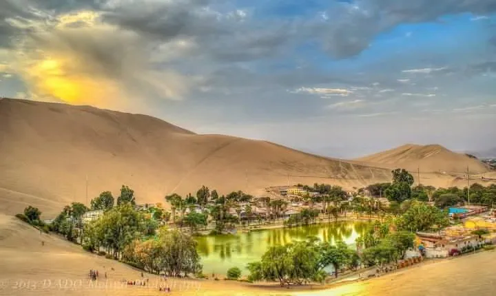 Full Day Ballestas Islands + Huacachina, the oasis of America + Ica Desert