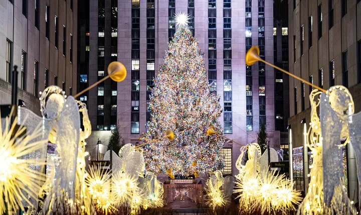 NYC Holiday Lights and Dyker Heights Luxury Bus Tour