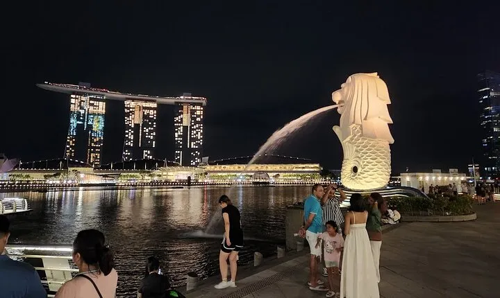 Singapore Private Night Walking Tour (optional river cruise)