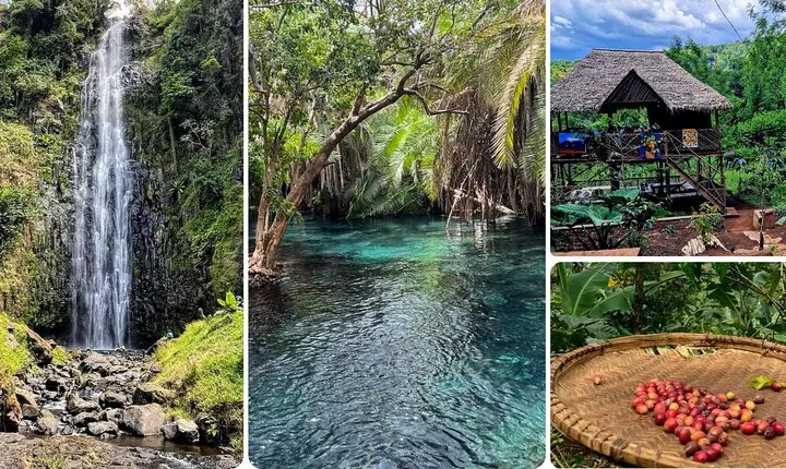 Waterfall, coffee tour & hot springs - lunch and drinks included