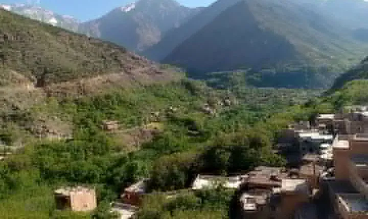 Day trip from Marrakech to atlas mountains & Berber village hike