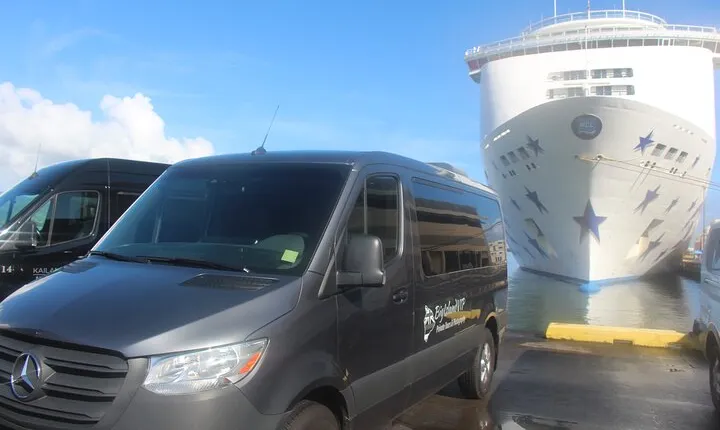 Private Shore Excursion Hilo Volcanoes National Park up to 11 PPL