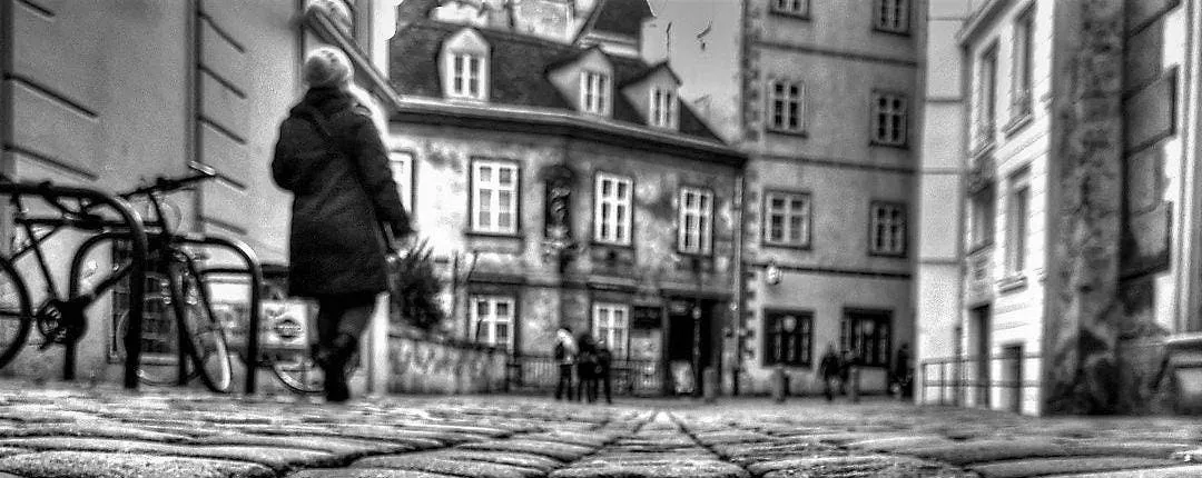 Vienna legends and myths private walking tour
