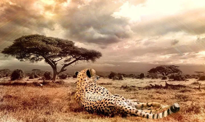 3 Days: Join Group Safari