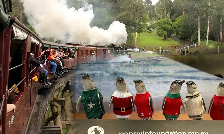 Private Puffing Billy Steam Train Ride and Phillip Island Tours