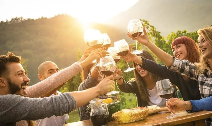 Vintage tour of Slovenian Istra - Private tour from Ljubljana