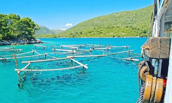 Oyster farm experience private day trip from Dubrovnik