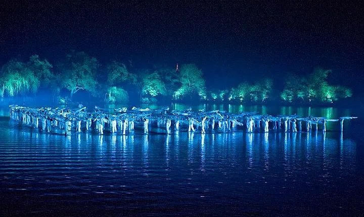 VIP Seated Enduring Memories of Hangzhou Show Tour with Authentic Dinner