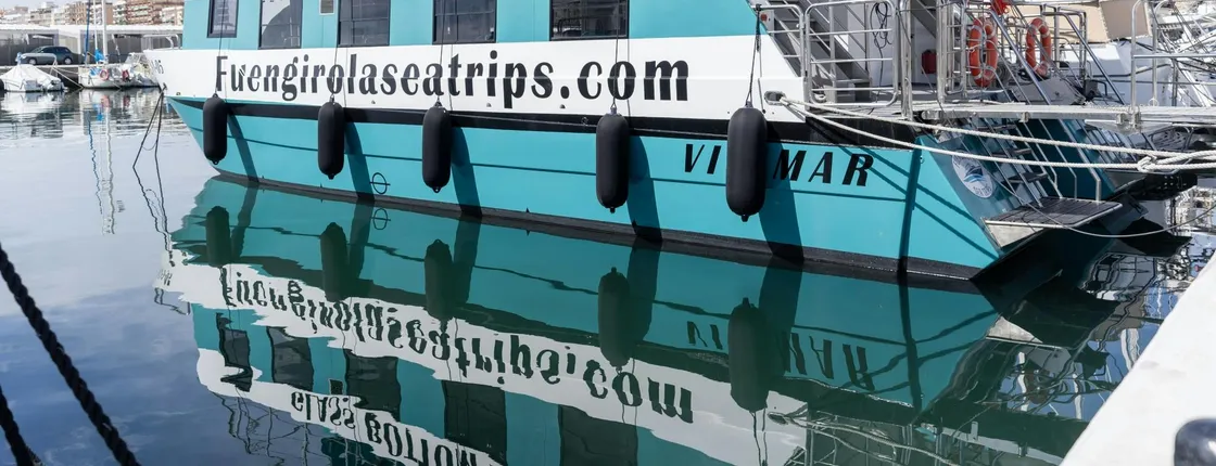 Dolphin watching catamaran cruise along Costa del Sol