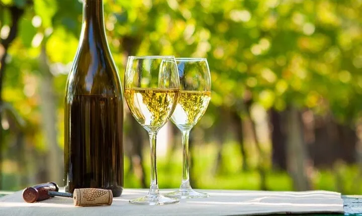 Exclusive Vinho Verde Alvarinho and Minho Region Wine Tour