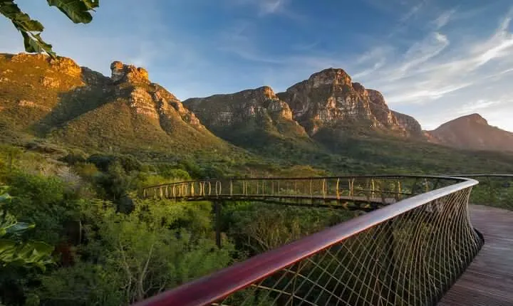 Cape Peninsula Private Tour In Cape Town South Africa