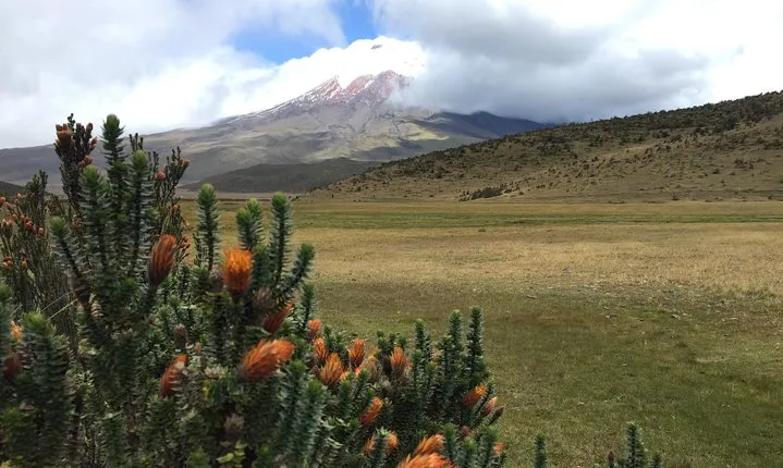 Premium Cotopaxi Full Day Tour