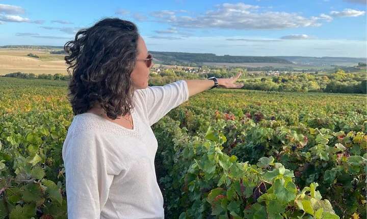 Sancerre Small Group Wine Day Trip with Wine Tastings and Lunch